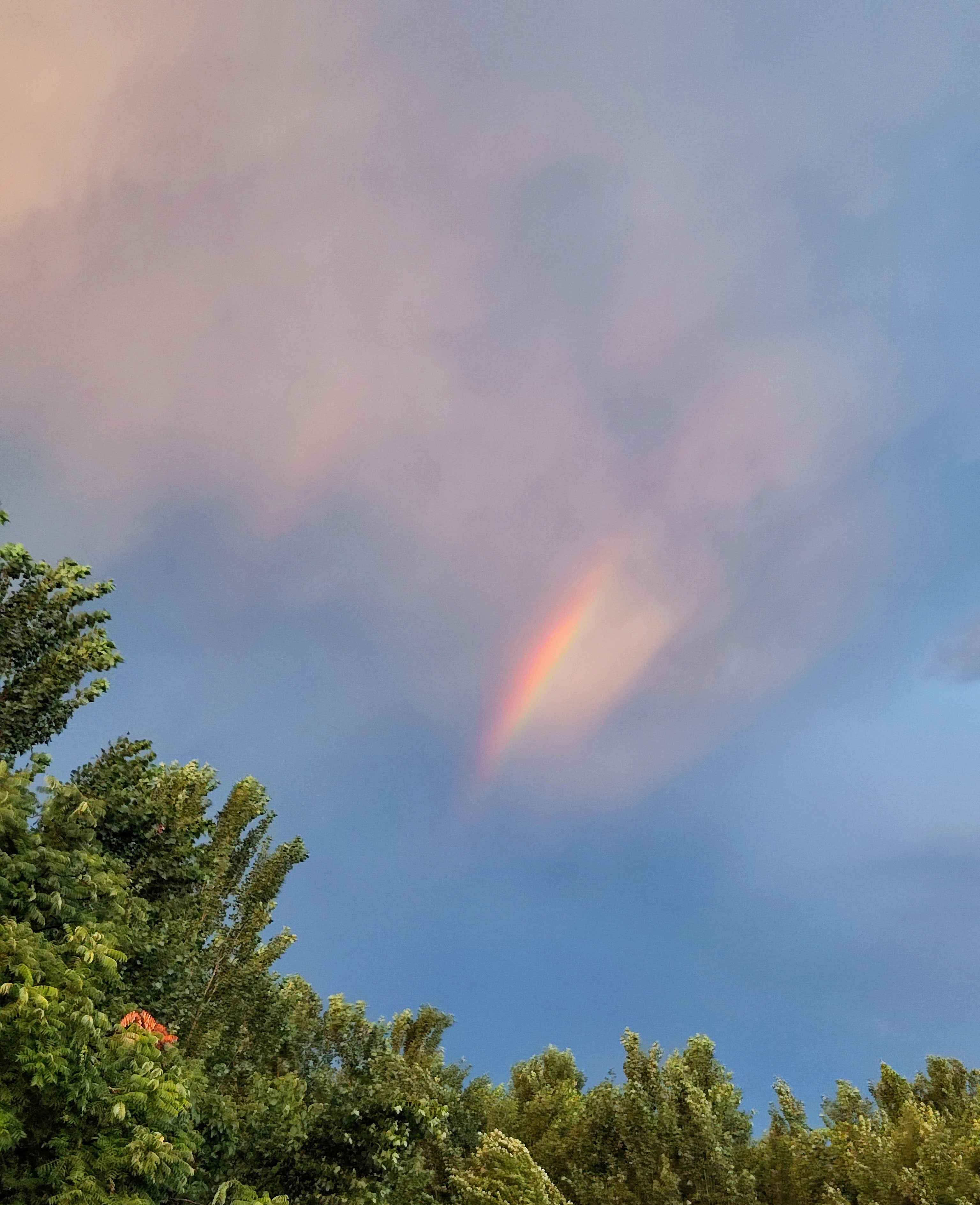彩虹🌈