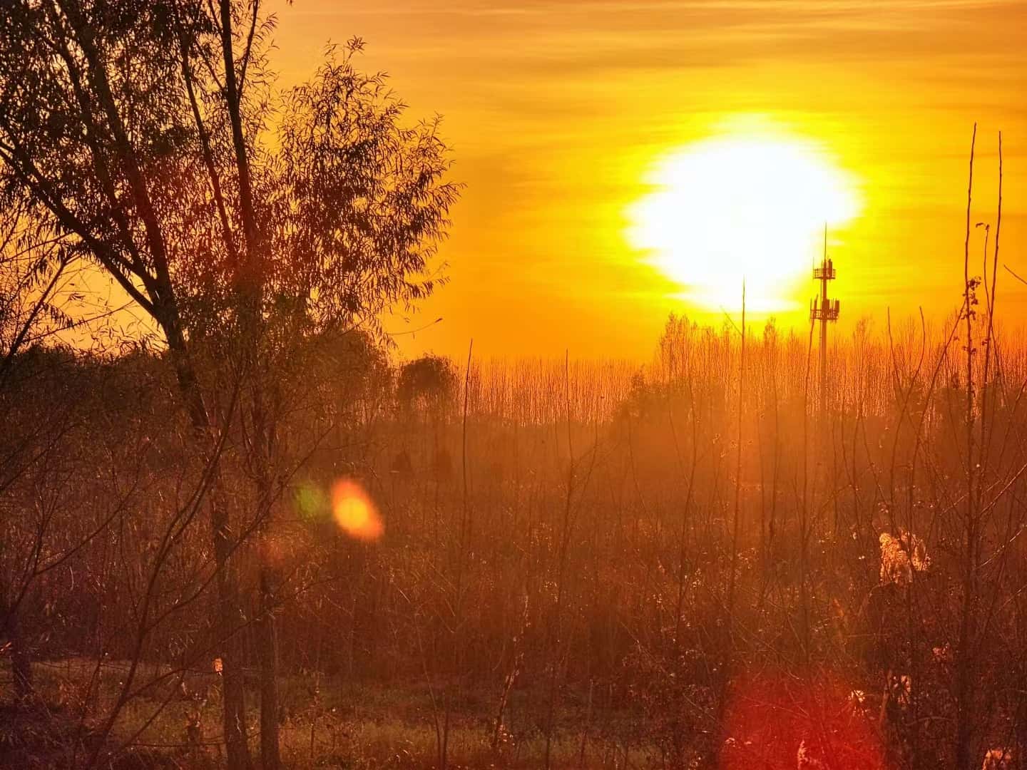 奔赴一场晚霞的温柔⛅